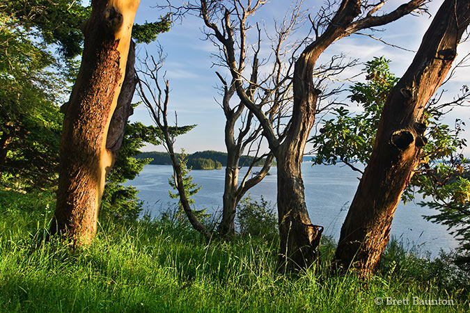 Woodstock Farm, Bellingham Bay