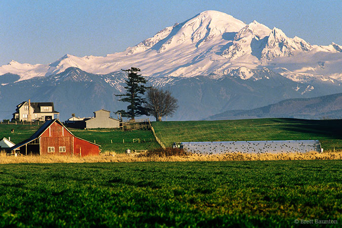 Whatcom County Farm, Mount Baker